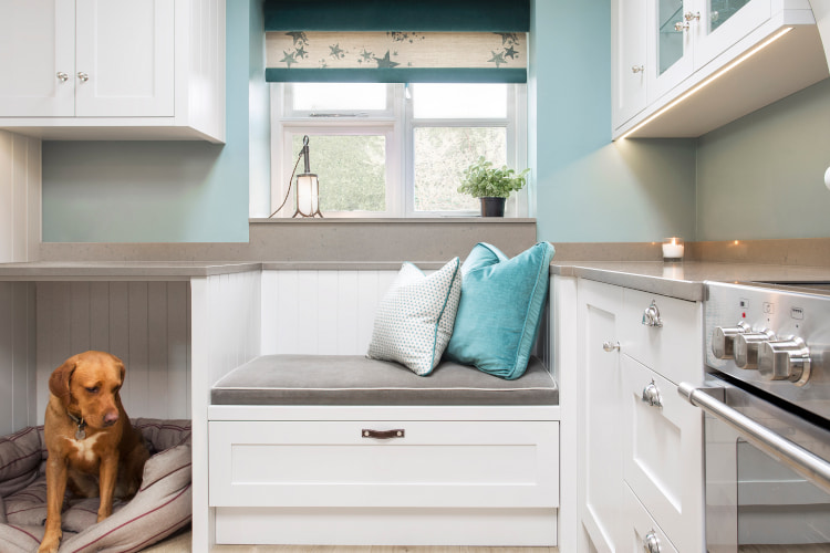 Interior Design for Dogs