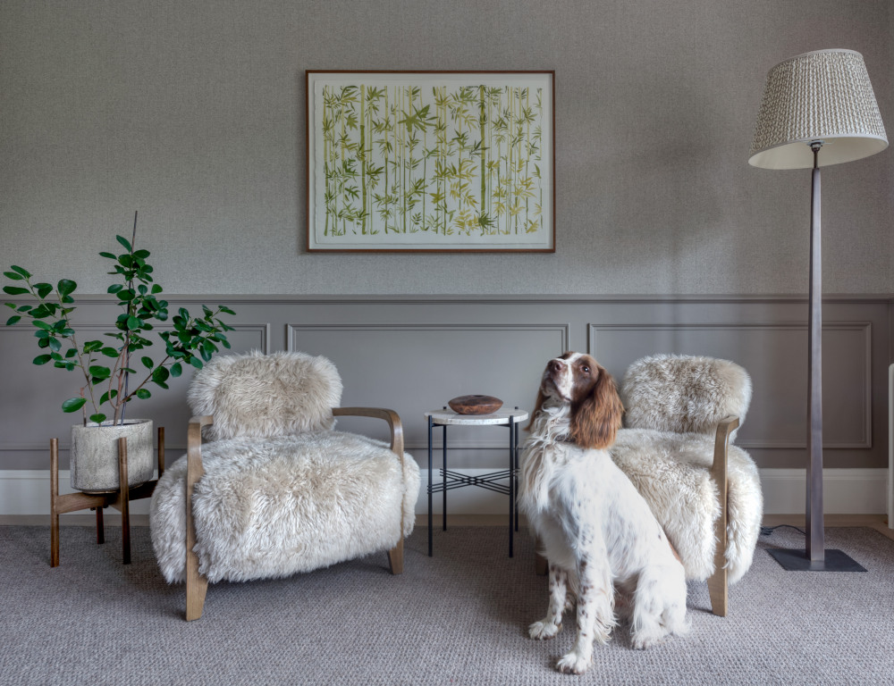 A grey carpet houses two beautifully luxururious sheepskin armchairs, between which sits a small table. To the left and the right is a pot plant and a large metal floor lamp with white pleated lampshade. The lower portions of the walls are wood panelled in a stone colour with the walls a slightly brighter colour. On the walls hangs an original watercolour of bamboo while a a white and brown dog stands proudly to attention in front of the scene.