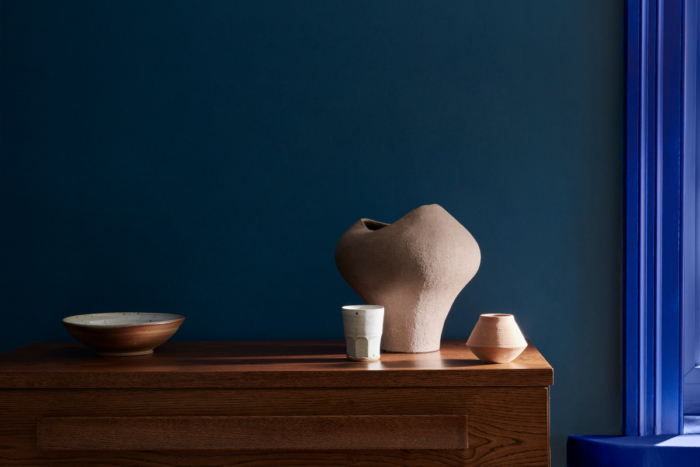 Cover image for Interior Colour Trends 2025 showcasing a Little Green Double Drenching in dark blue paint