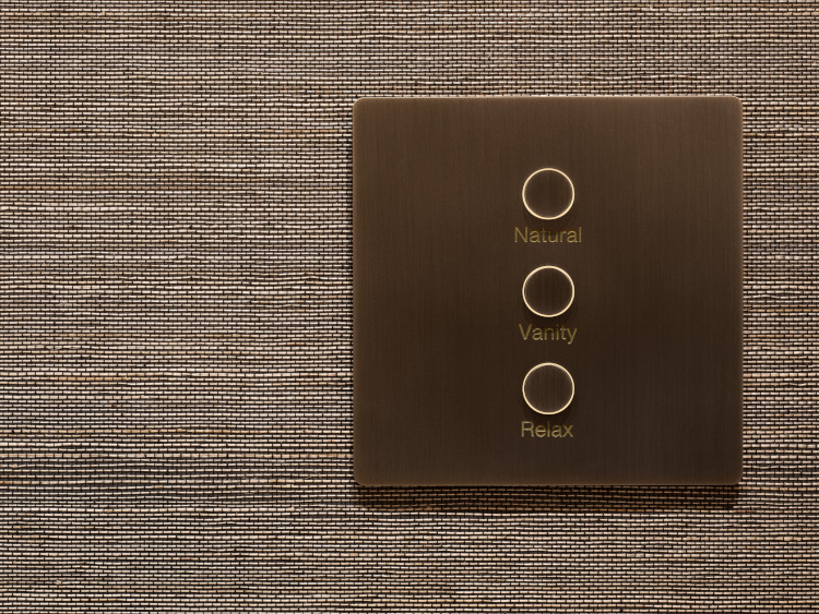 Lutron Lighting Device
